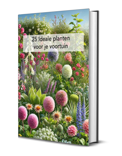 25 Ideale planten voor je voortuin